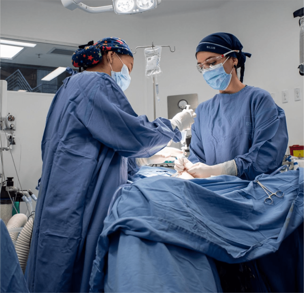 Qlub Quirofanos Website Servicios Foto 2